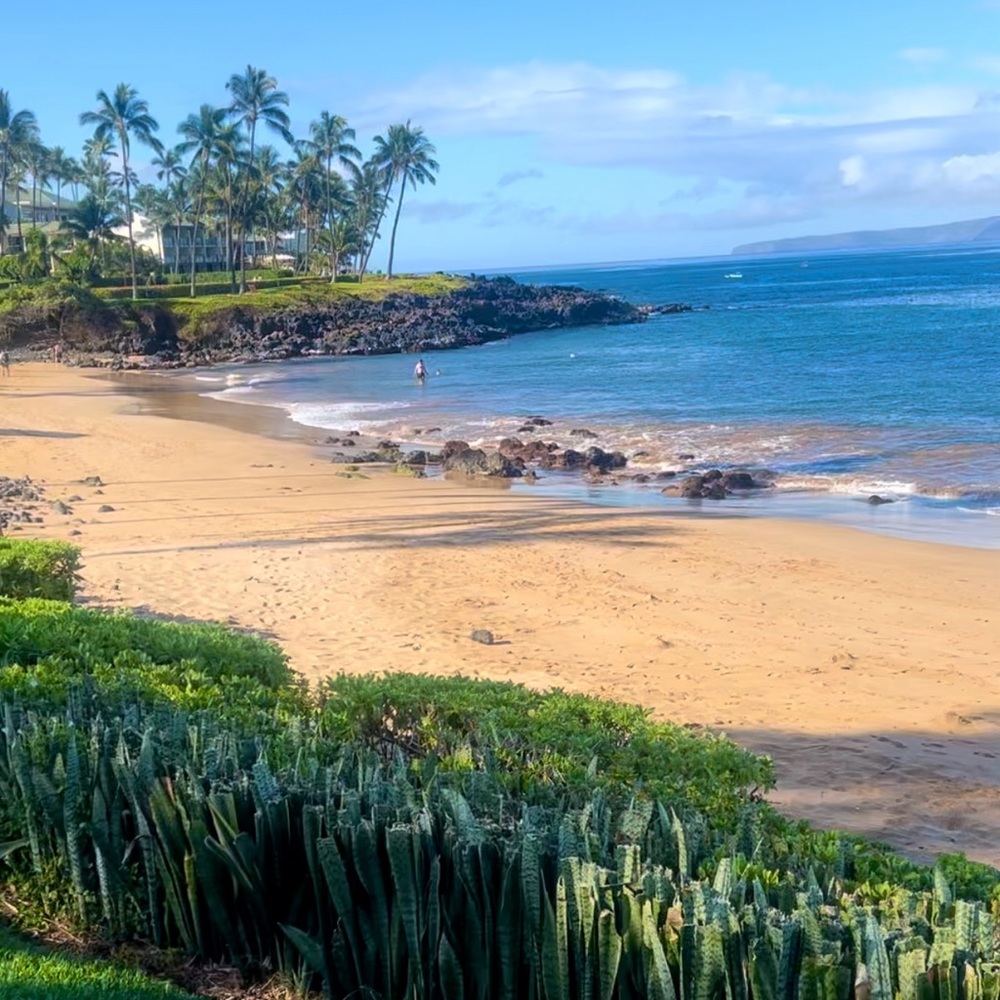 Aloha 🌸 - Picture 6 of 11